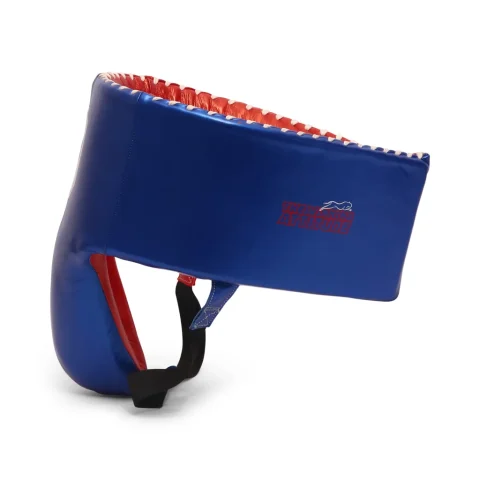 Armor P2 Groin Guard | Red & Blue