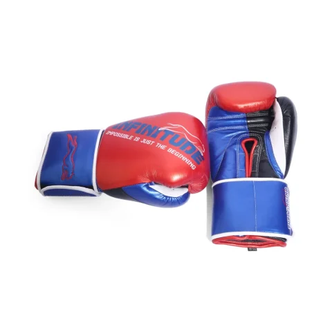 Harrier Pro Boxing Gloves | Red & Blue