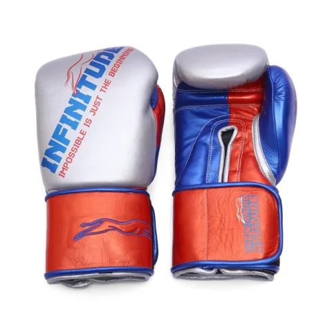 Harrier Pro Boxing Gloves | Silver & Red