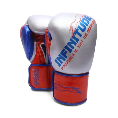 Harrier Pro Boxing Gloves | Silver & Red