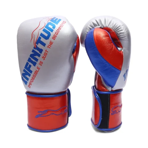 Harrier Pro Boxing Gloves | Silver & Red