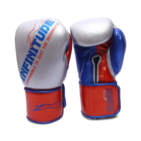 Harrier Pro Boxing Gloves | Silver & Red