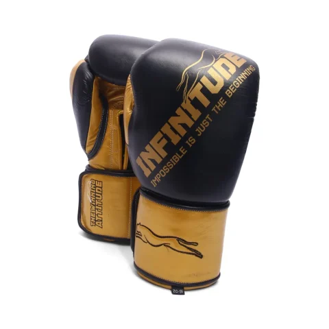 Harrier Pro Boxing Gloves | Black & Gold