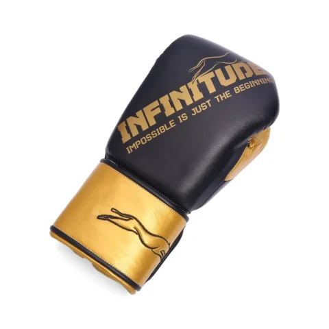 Harrier Pro Boxing Gloves | Black & Gold