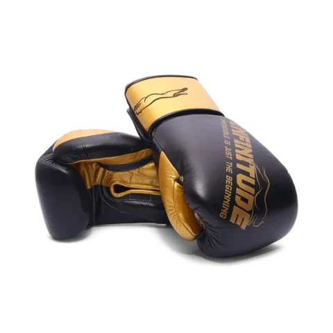 Harrier Pro Boxing Gloves | Black & Gold