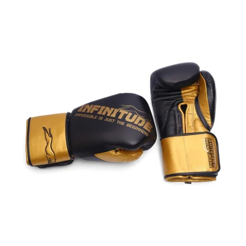 Harrier Pro Boxing Gloves | Black & Gold