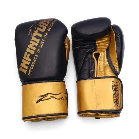 Harrier Pro Boxing Gloves | Black & Gold