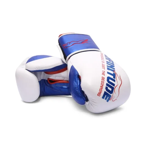 Harrier Pro Boxing Gloves | White & Blue