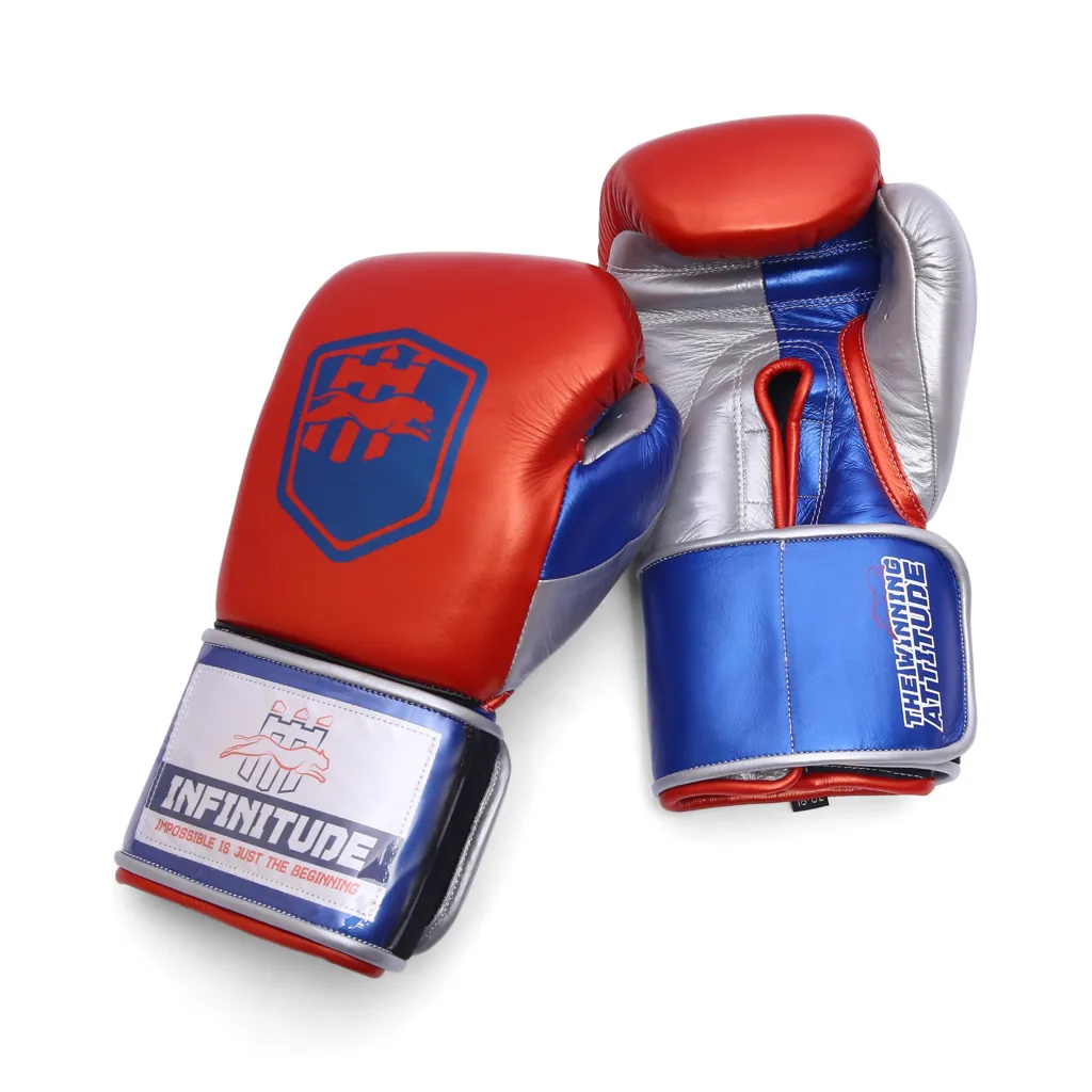 Harrier Pro Boxing Gloves | Red - Infinitude Fight