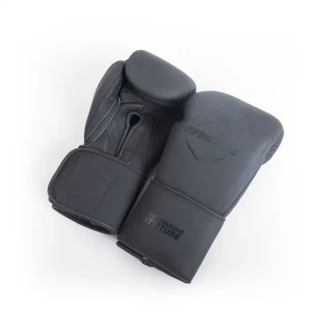 Harrier Pro - Hook & Loop Boxing Gloves | Matte Silver
