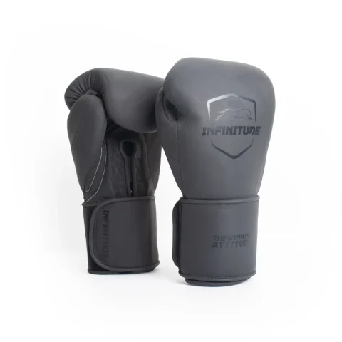 Harrier Pro - Hook & Loop Boxing Gloves | Matte Silver