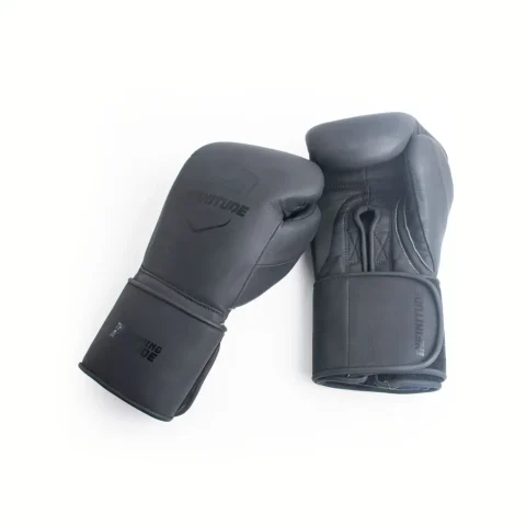 Harrier Pro - Hook & Loop Boxing Gloves | Matte Silver