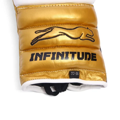 Raptor Xtreme Boxing Gloves | White & Gold