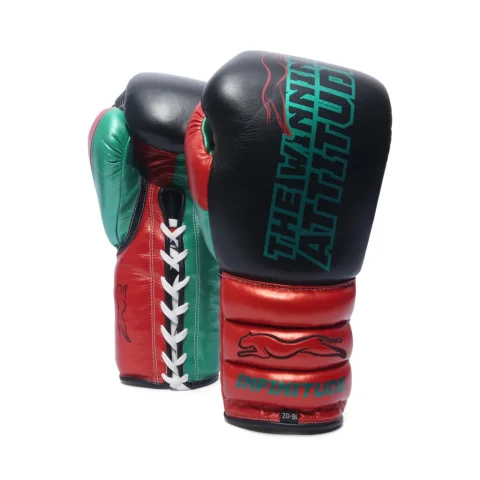 Raptor Xtreme Boxing Gloves | Black & Red