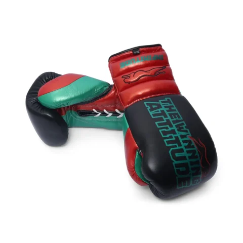Raptor Xtreme Boxing Gloves | Black & Red