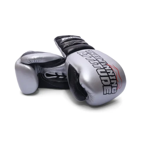 Raptor Xtreme Boxing Gloves | Silver & Black