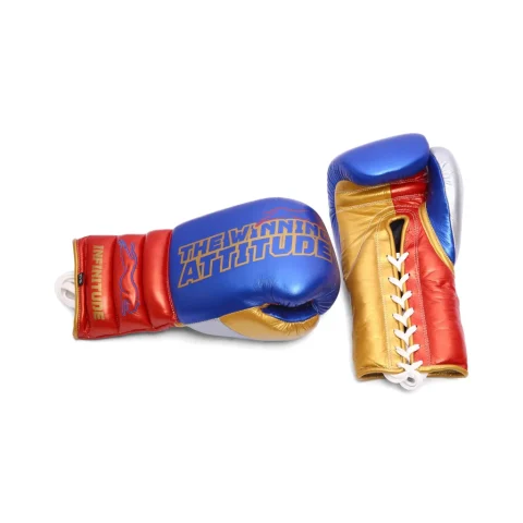 Raptor Xtreme Boxing Gloves | Blue & Red