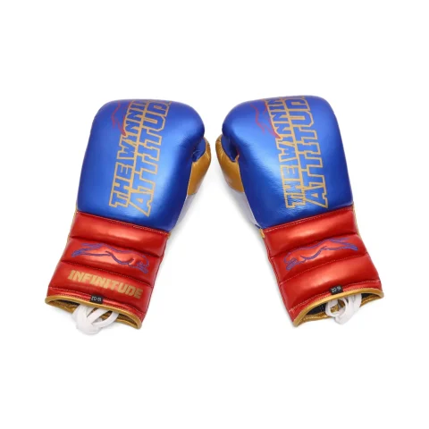 Raptor Xtreme Boxing Gloves | Blue & Red