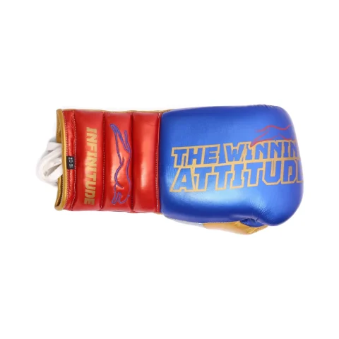 Raptor Xtreme Boxing Gloves | Blue & Red