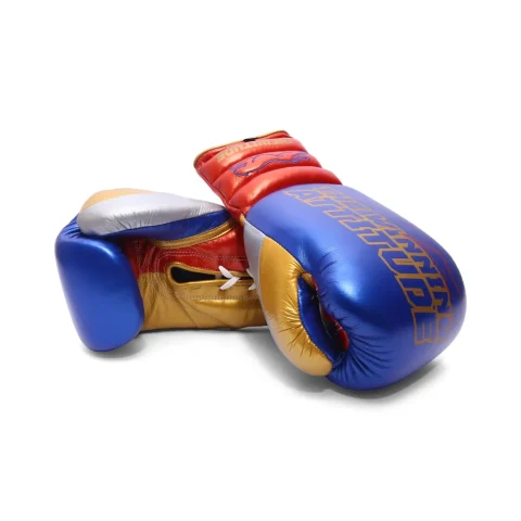 Raptor Xtreme Boxing Gloves | Blue & Red