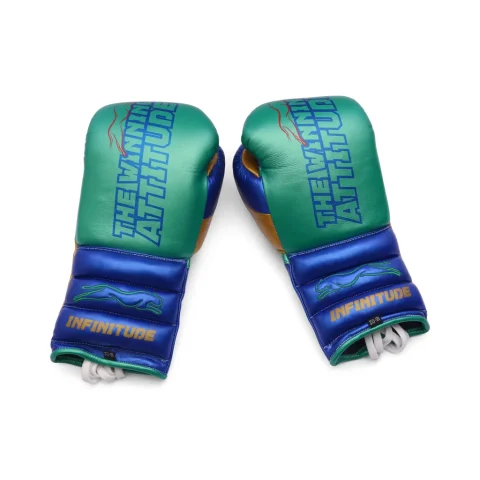 Raptor Xtreme Boxing Gloves | Green & Blue