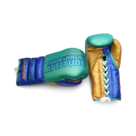 Raptor Xtreme Boxing Gloves | Green & Blue