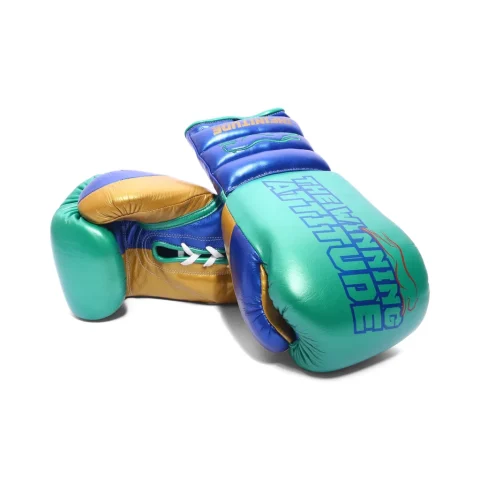 Raptor Xtreme Boxing Gloves | Green & Blue