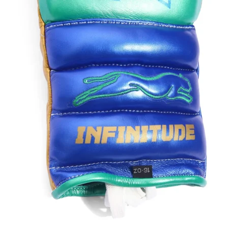 Raptor Xtreme Boxing Gloves | Green & Blue