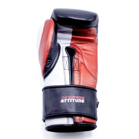 RAIDER PRO BOXING GLOVES | Black & Red