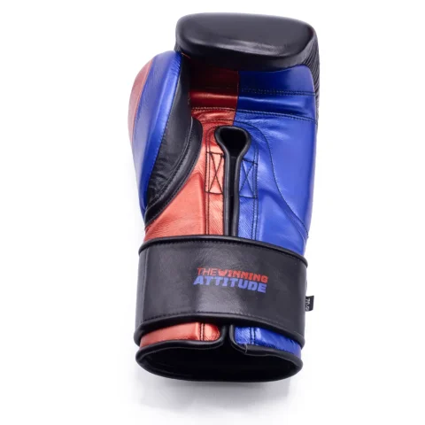 RAIDER PRO BOXING GLOVES | Black, Red & Blue