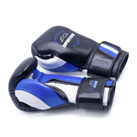 Raider Pro Boxing Gloves | Black & Blue