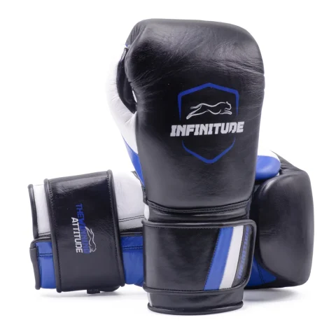 Raider Pro Boxing Gloves | Black & Blue