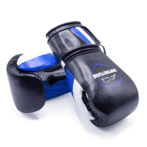 Raider Pro Boxing Gloves | Black & Blue
