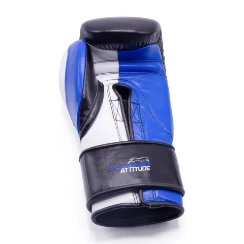 Raider Pro Boxing Gloves | Black & Blue