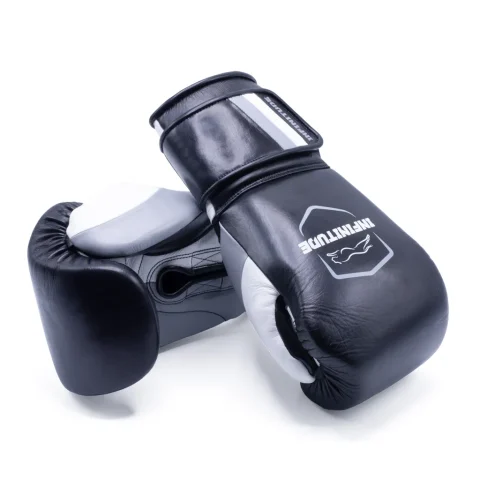 Raider Pro Boxing Gloves | Black & Gray