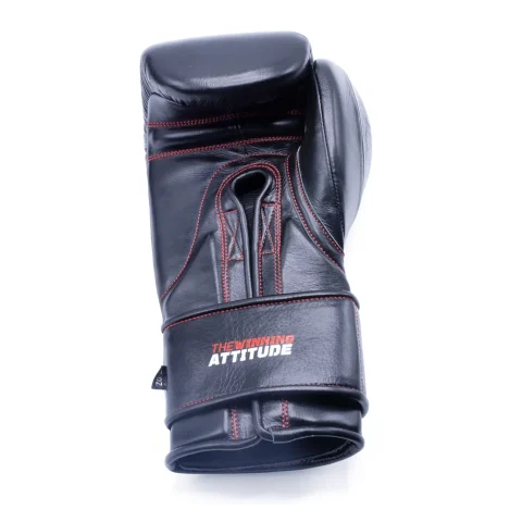 Raider Pro Boxing Gloves | Black