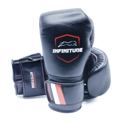 Raider Pro Boxing Gloves | Black
