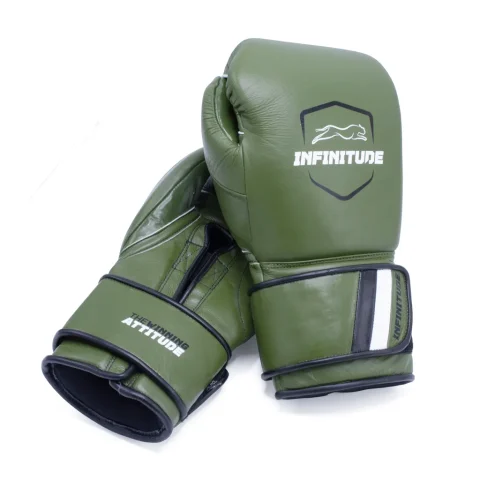 RAIDER PRO BOXING GLOVES | Clover