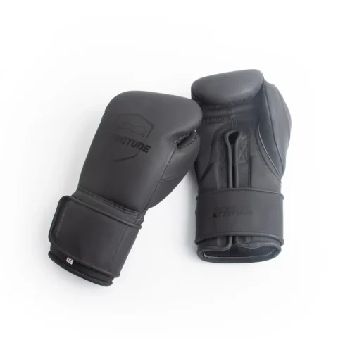 Raider Pro - Hook & Loop Boxing Gloves | Matte Black