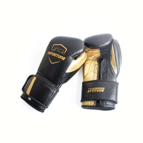 Raider Pro - Hook & Loop  Boxing Gloves | Black & Gold