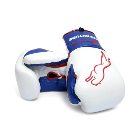 Stealth X2 Boxing Gloves | White & Blue