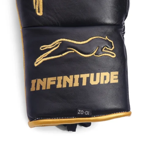Stealth X2 Boxing Gloves | Black & Gold