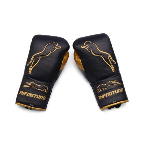 Stealth X2 Boxing Gloves | Black & Gold