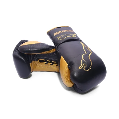 Stealth X2 Boxing Gloves | Black & Gold