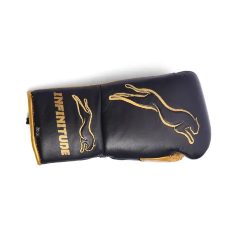Stealth X2 Boxing Gloves | Black & Gold