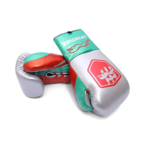 Stealth X2 Boxing Gloves | Silver & Green