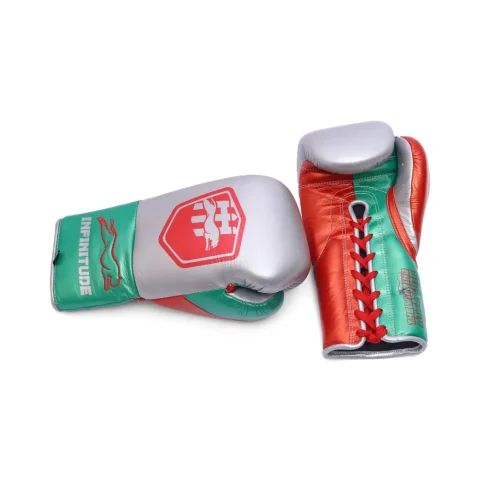 Stealth X2 Boxing Gloves | Silver & Green