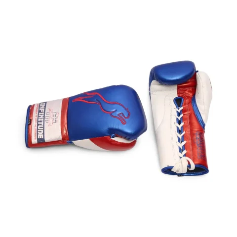 Stealth X2 Boxing Gloves | Blue & Red