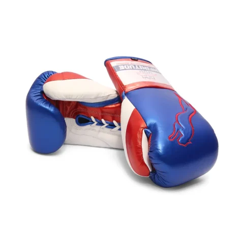 Stealth X2 Boxing Gloves | Blue & Red