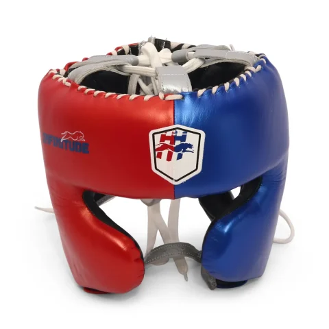 Armor P2 Head Guard | Red, Blue & Silver